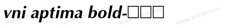 vni aptima bold字体转换